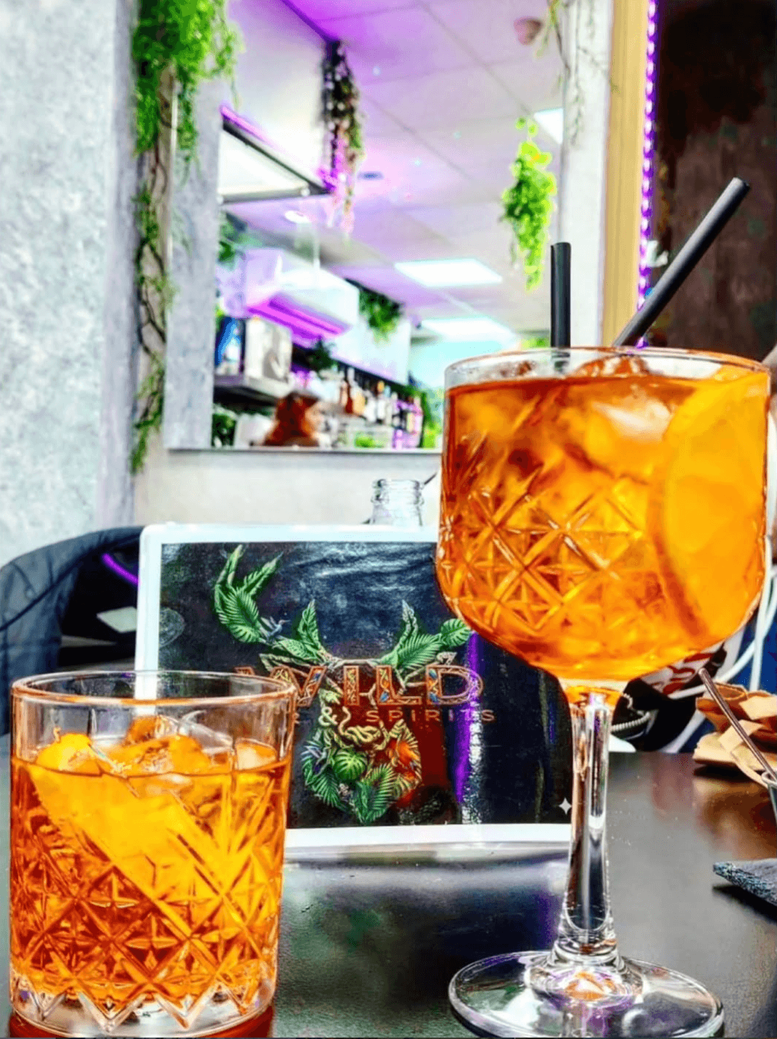 WILD BAR & SPIRITS